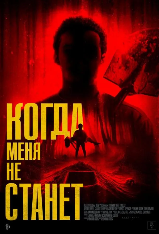 Когда меня не станет смотреть онлайн